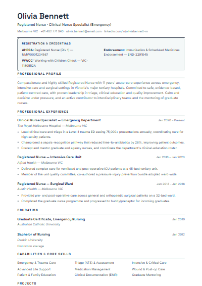 Government & Public Sector resume template preview