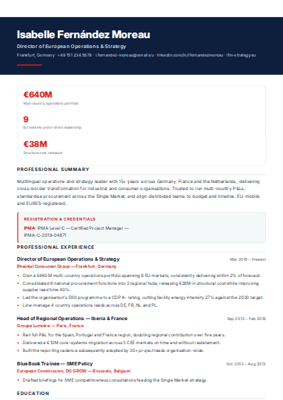 Banking & Financial Services resume template preview
