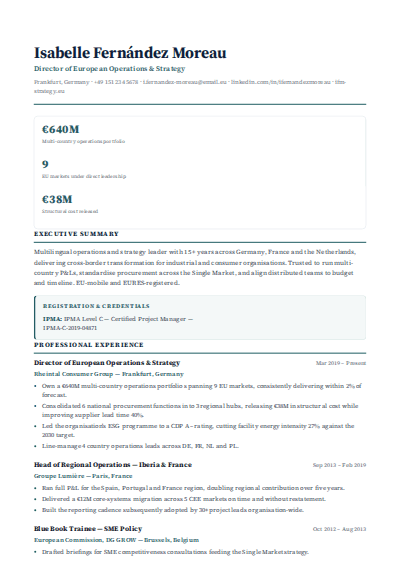Consulting & International Business resume template preview