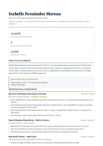 Executive Leadership resume template preview
