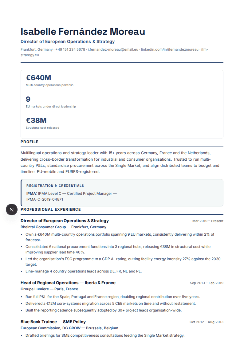 Government, NGO & International full resume preview
