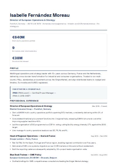 Government, NGO & International resume template preview