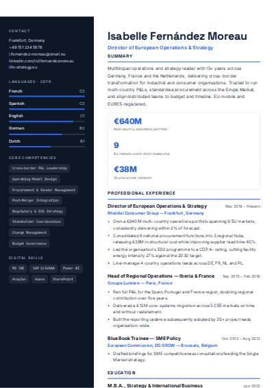 Technology Professional resume template preview
