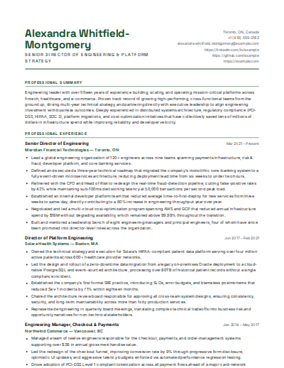 Financial Services resume template preview