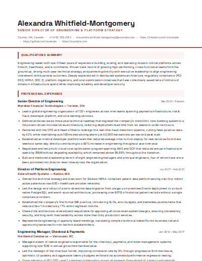 Government & Public Sector resume template preview