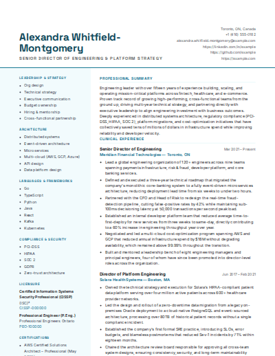 Healthcare Professional resume template preview
