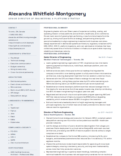 Modern Professional resume template preview