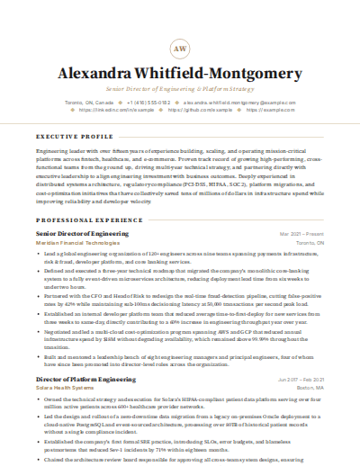 Premium Executive resume template preview
