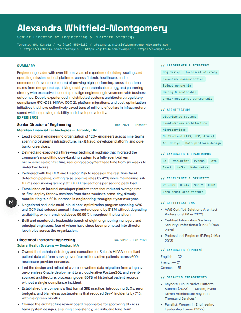 Technology Professional full resume preview