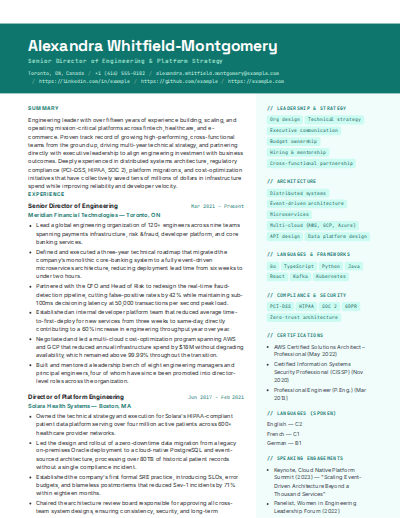 Technology Professional resume template preview
