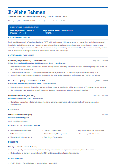 NHS & Healthcare resume template preview