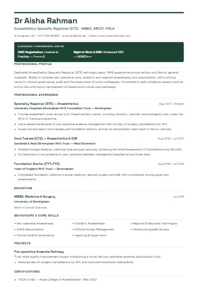 Public Sector & Civil Service resume template preview