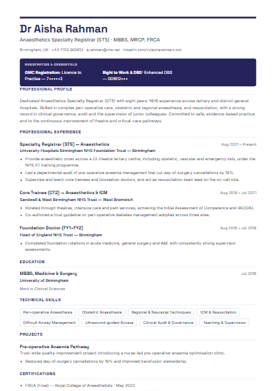 Technology Professional resume template preview