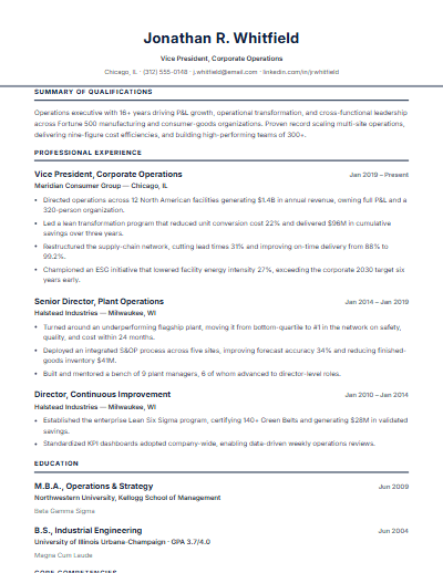 Government & Federal resume template preview