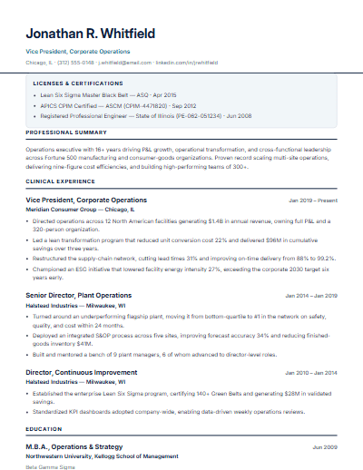 Healthcare resume template preview