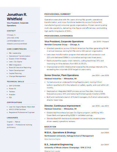 Modern Business Professional resume template preview